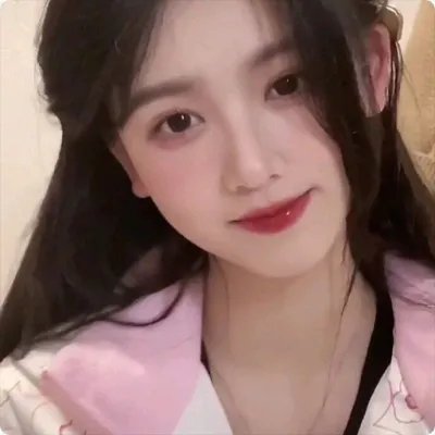 无畏警官